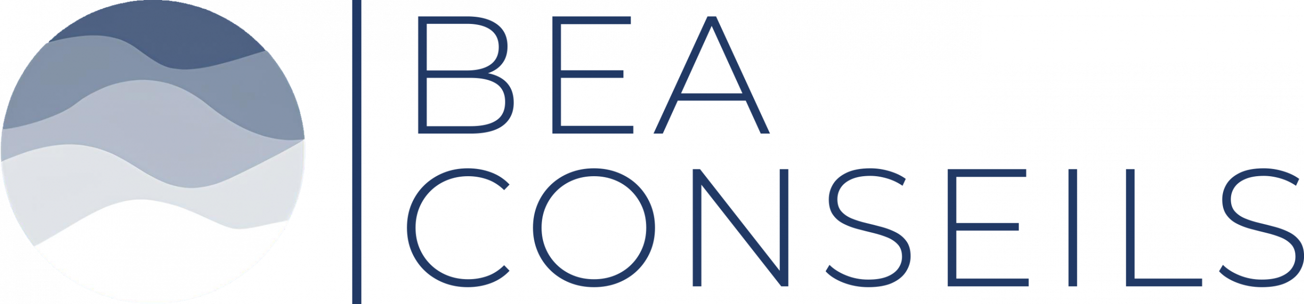 bea conseils 2